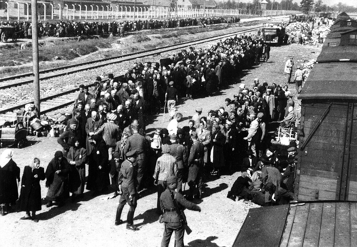 Лагерь евреев в польше. Прибытие заключенных в концлагерь Аушвиц. Великая Отечественная война лагерь Освенцим. Освенцим железная дорога. Лагеря смерти Треблинка Собибор Освенцим.