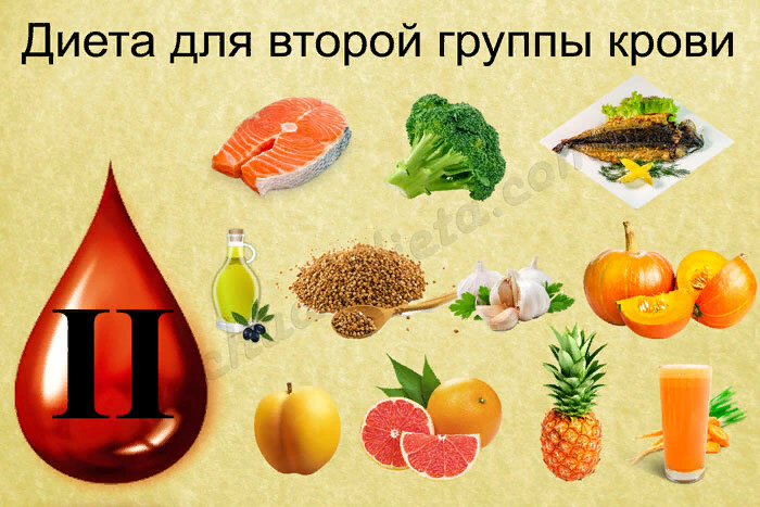 Продукты по крови 1 положительная. Питание по группе крови. Вторая группа крови питание. Диета для второй группы крови. Диета по группе крови 2 группа.