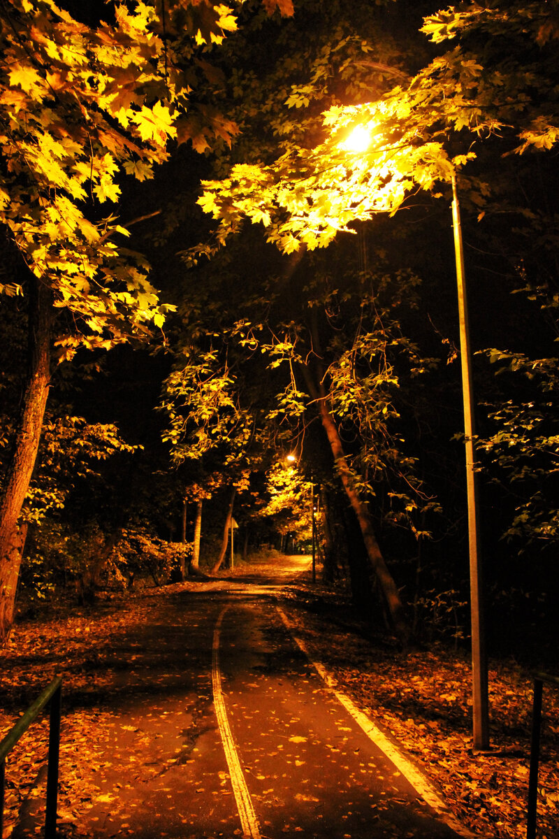 фото #белкаорехова