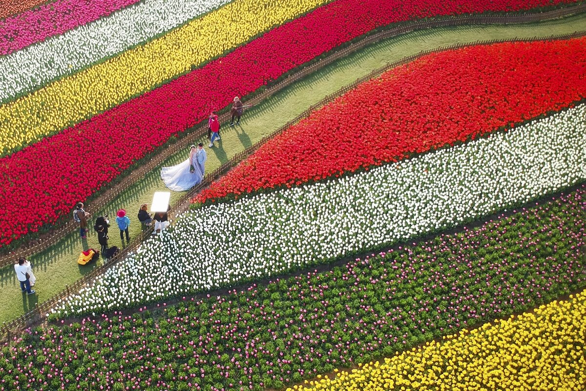 Бескрайнее море любви, Wujiang Zhu / Drone Photo Awards 2021