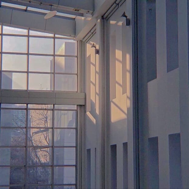 Причины манипуляций 