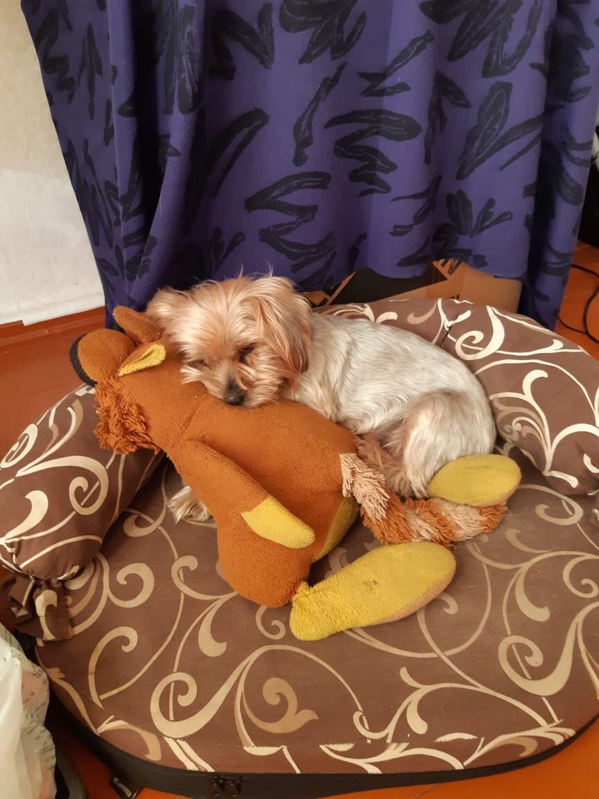 Лучшая подруга - Белка.