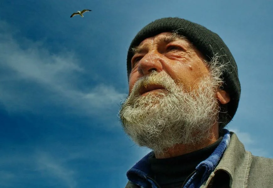 Фото из открытого источника