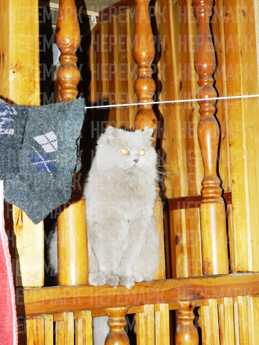 Фото НЕРЕМАРК