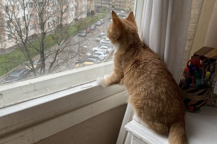 Старые деревянные окна в комнате