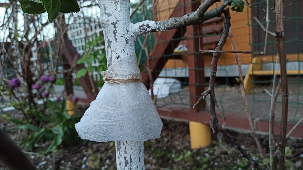 Фотография из личного архива