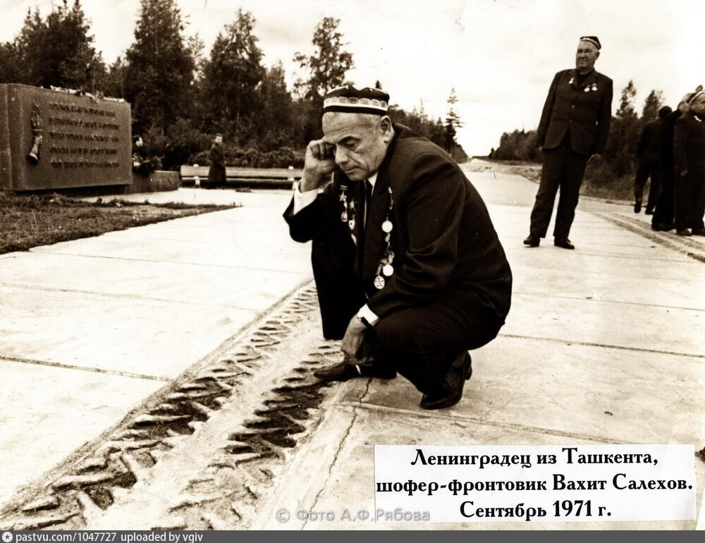 Фото с сайта file:///C:/Users/Игорь/Desktop/11ФОТО/5qusbwfwoh3qmwq7n0.jpg