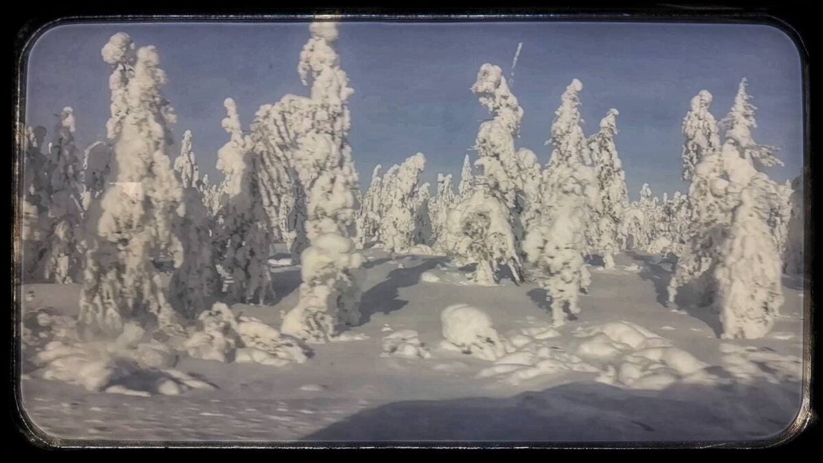 С приходом зимы все меняется, все замирает!