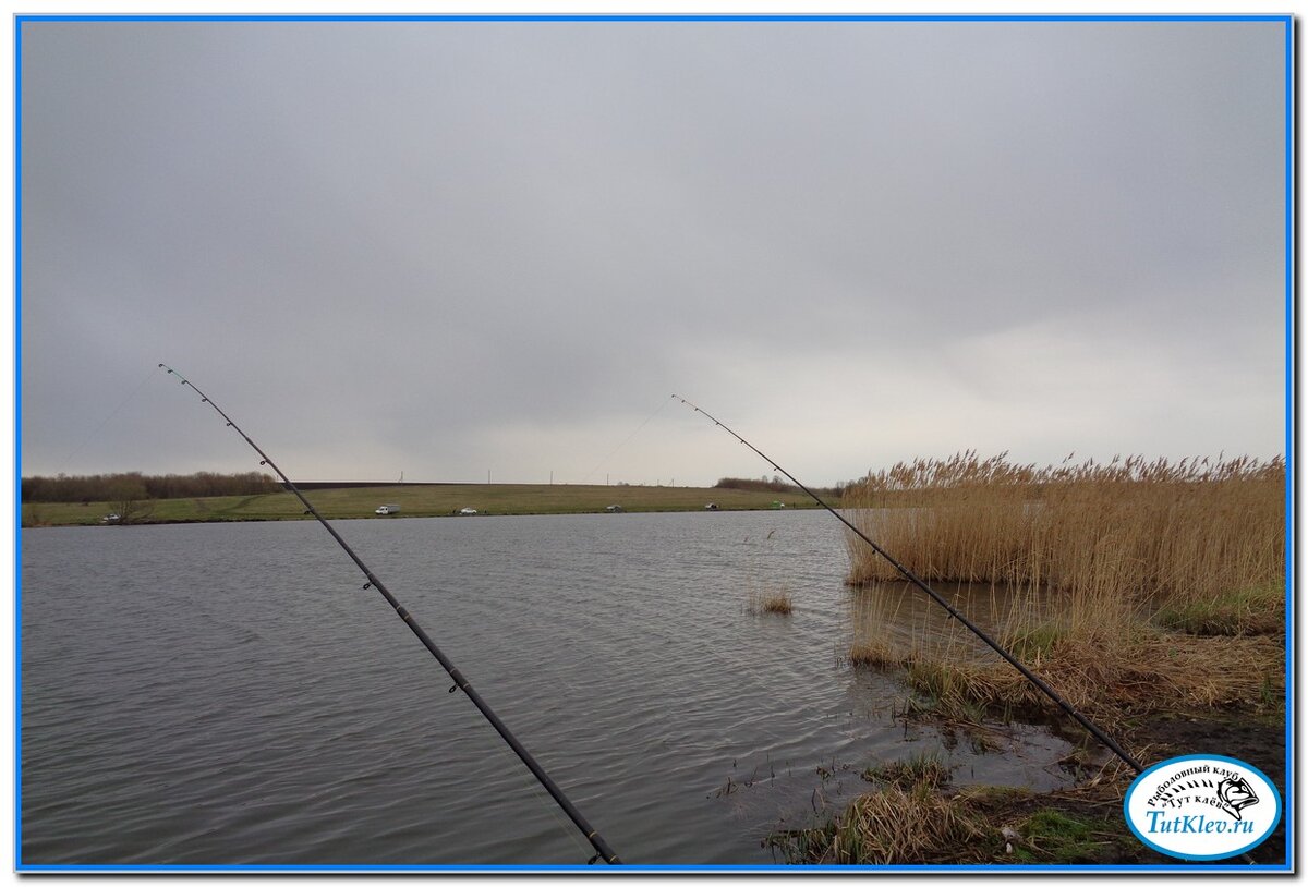 Карась не заставлял себя долго ждать, радуя рьяными и жадными загибами квивертипа .