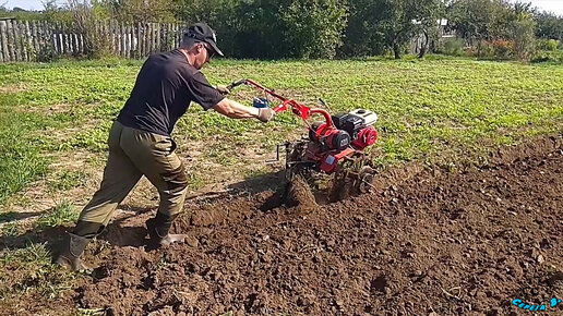 Плуг со сцепкой Стандарт для мотоблоков Салют,Агат видео