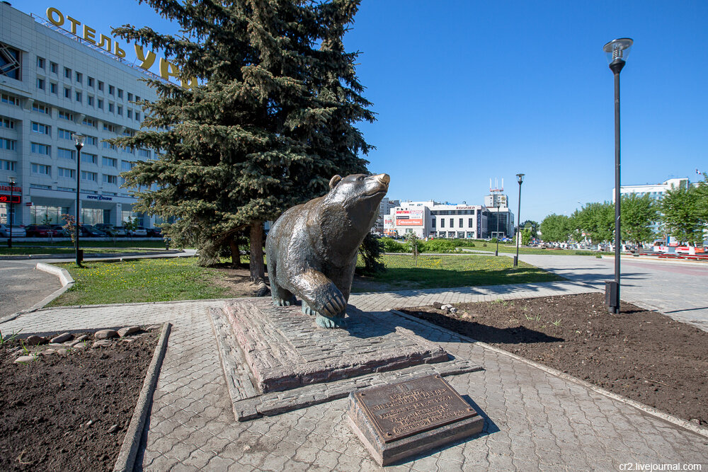 Картинка пермский медведь