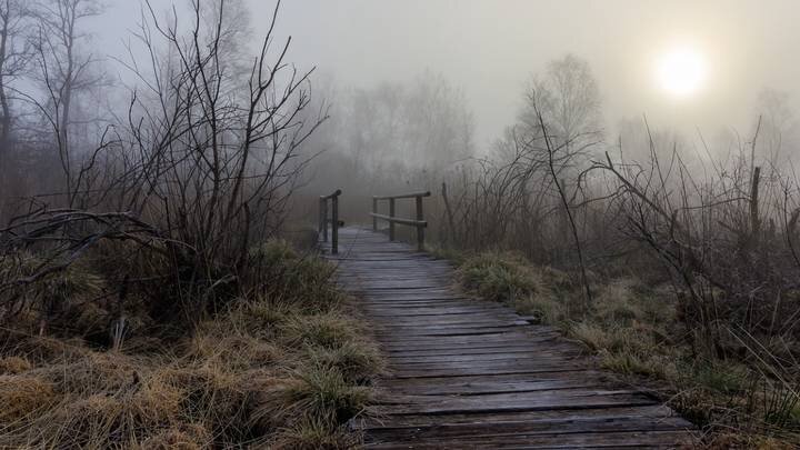 Фото: pixabay.com 