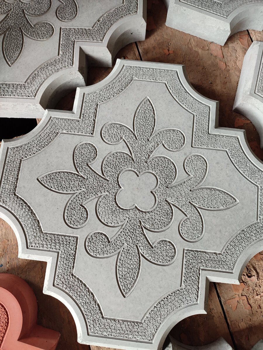 Клевер краковский большая форма. 