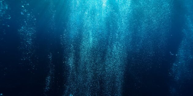 Изображение: Sarah Lee / Unsplash📷
