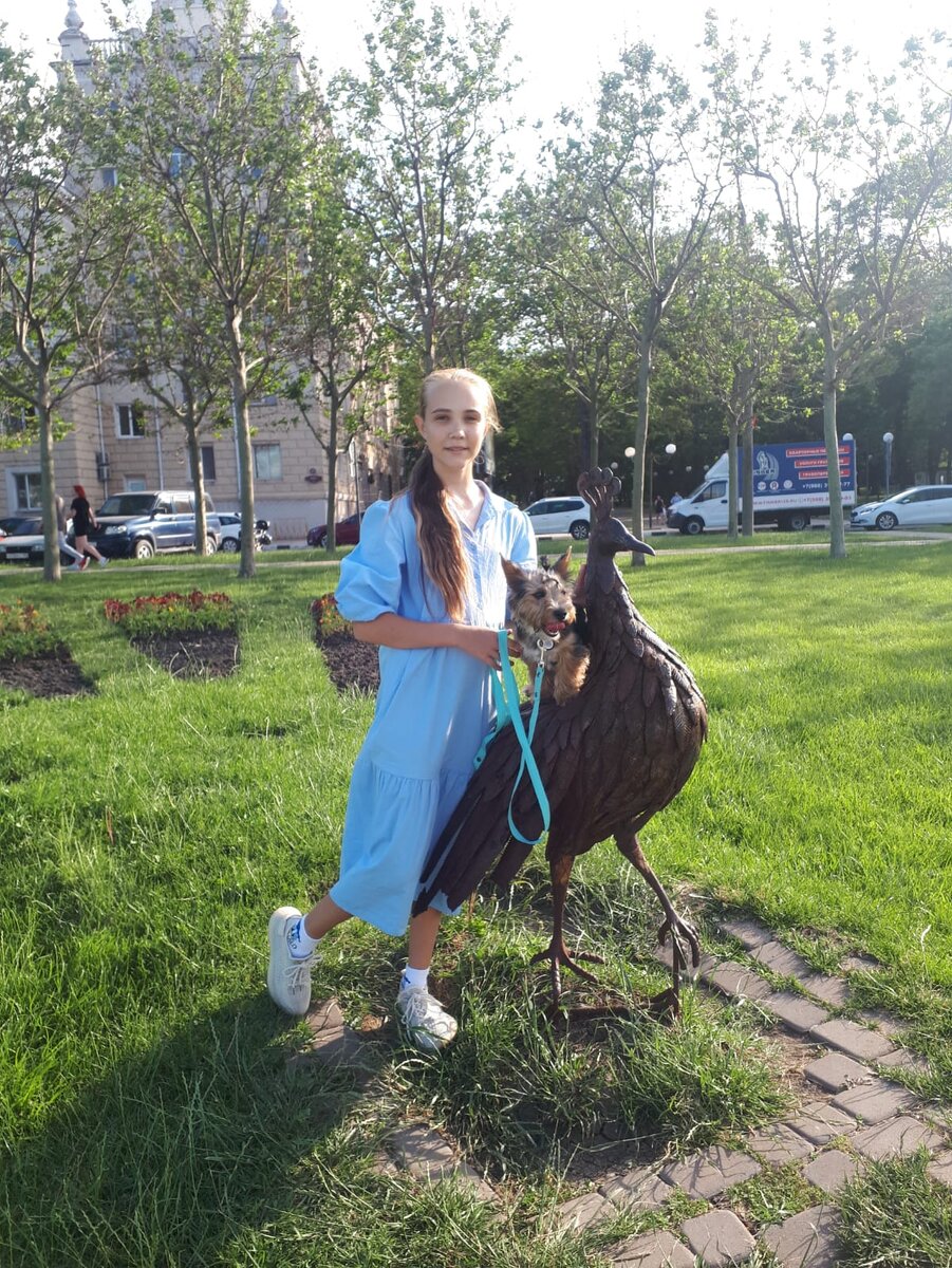 Хочу рассказать о собаке. 