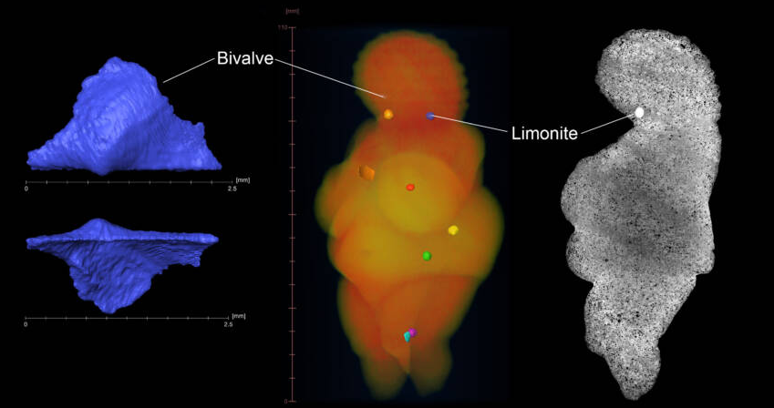 Исследователи использовали высокотехнологичное сканирование, чтобы внимательно изучить известняк статуи, который они сравнили с образцами, взятыми со всей Европы.