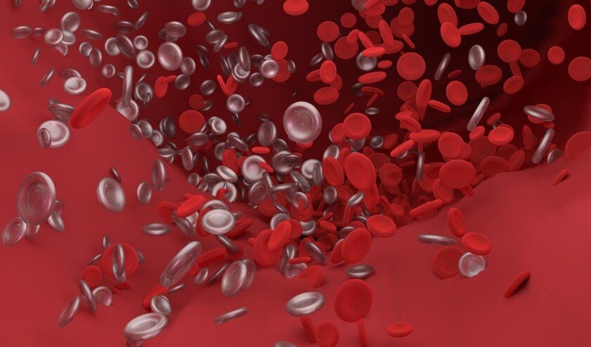 Фото: Pixabay.com