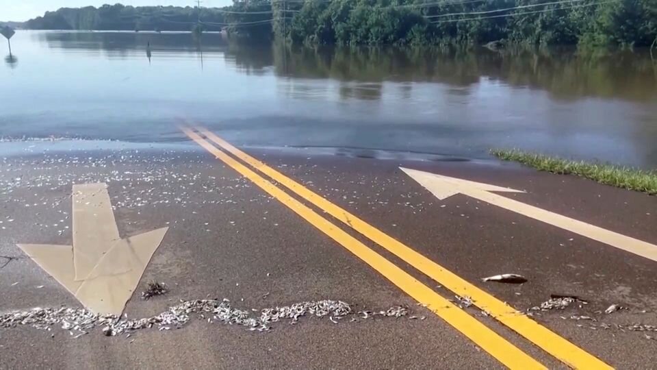 Вид на затопленную дорогу возле Перл-Ривер после сброса воды из водохранилища Барнетт в выходные в Риджленде, штат Миссисипи