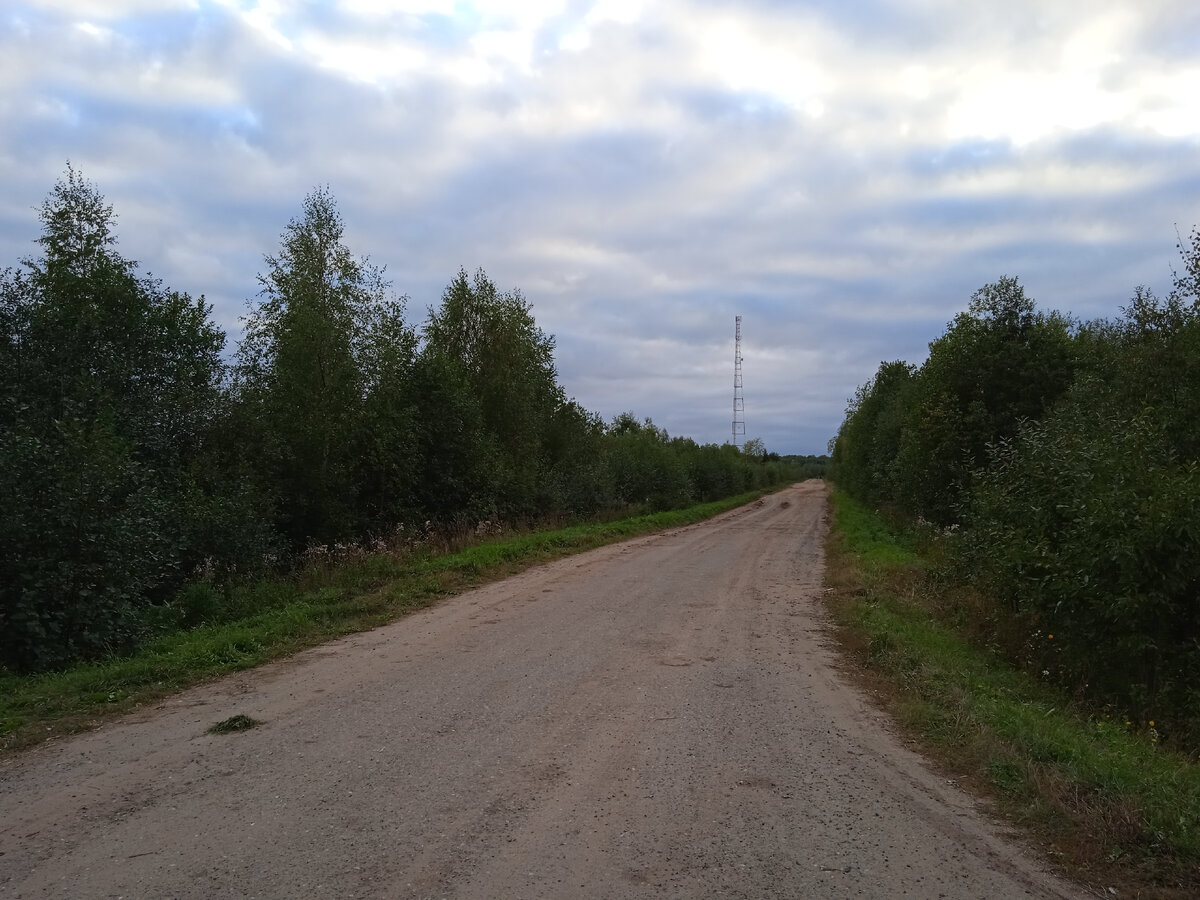 Вид в сторону деревни. Вдали вышка сотовой связи. Фото автора.