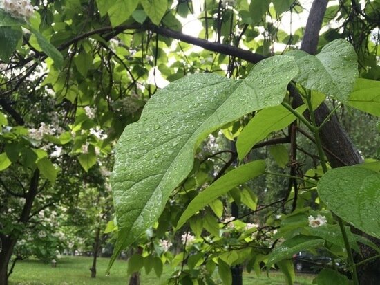     Сентябрь в Саратове. Фото: Сергей Климушев