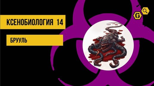 Брууль. Warhammer 40000: Ксенобиология #14 @Gexodrom ​