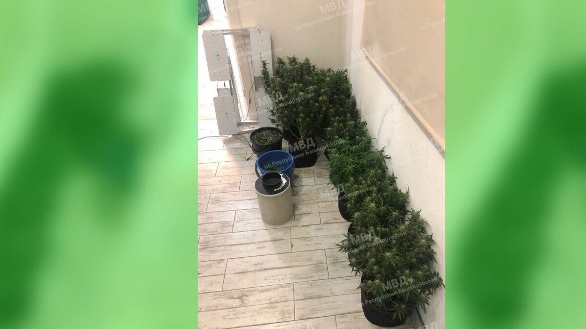     38-летнего мужчину подозревают в хранении наркотиков в крупном размере.