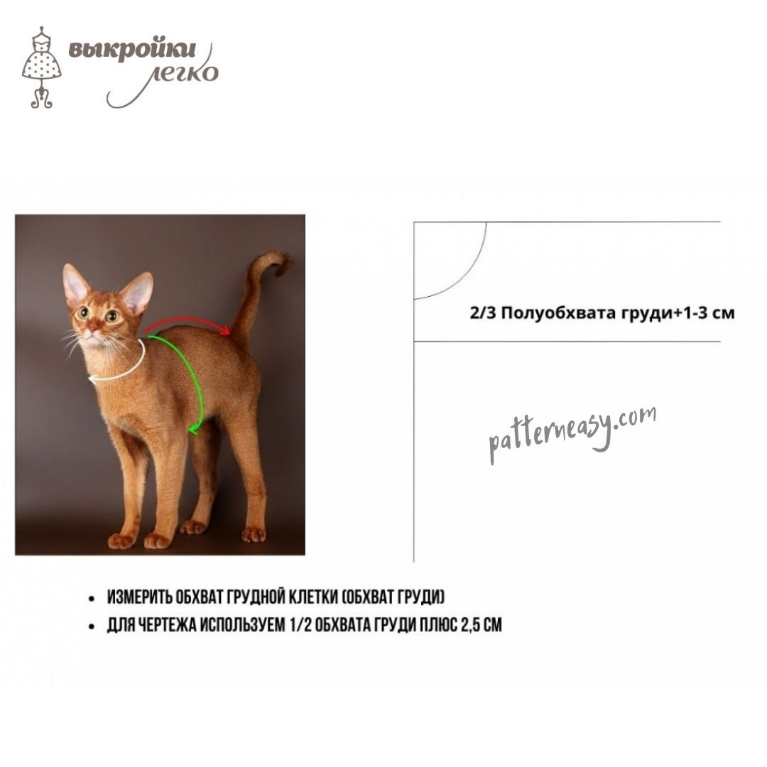 50 Размеры Свитер с изображением кота сфинкса Выкройка Пенни свитер для кошек - Tailoress