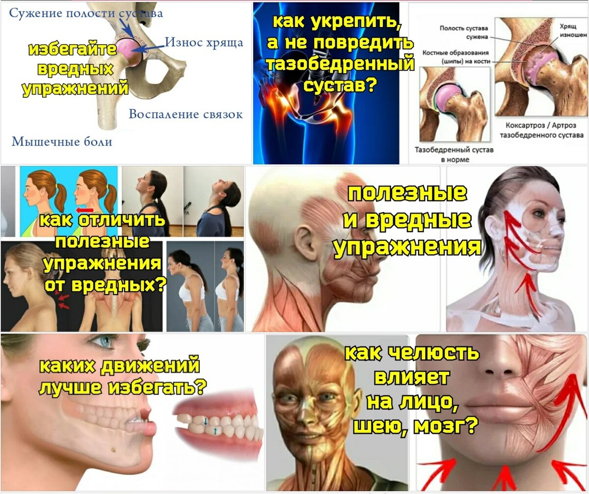 Время первых: аспирант АГМА создал искусственную кожу и готовится к испытаниям на пациентах