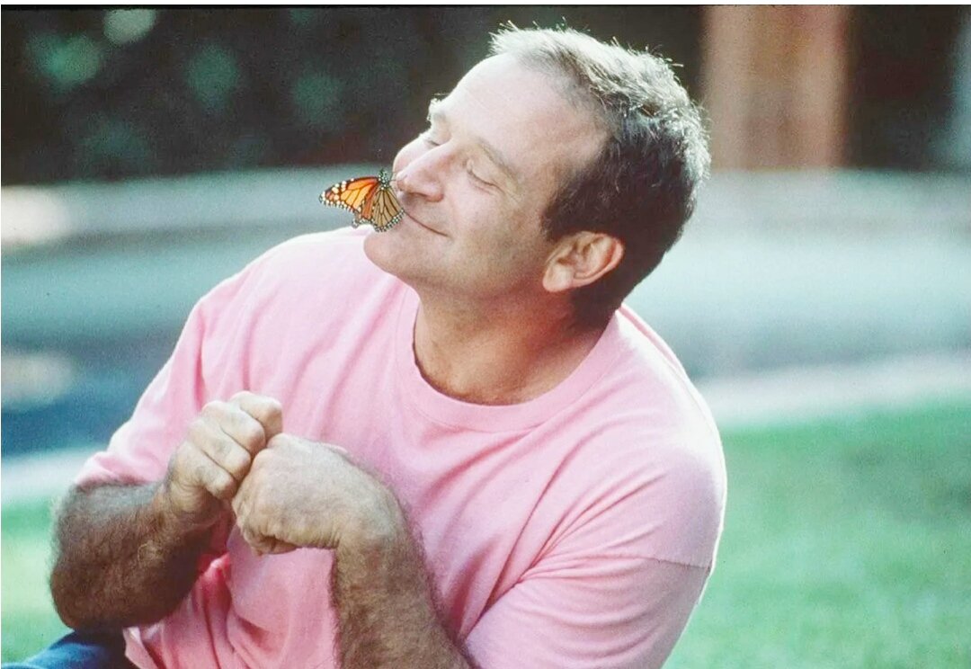 Робин Уильямс