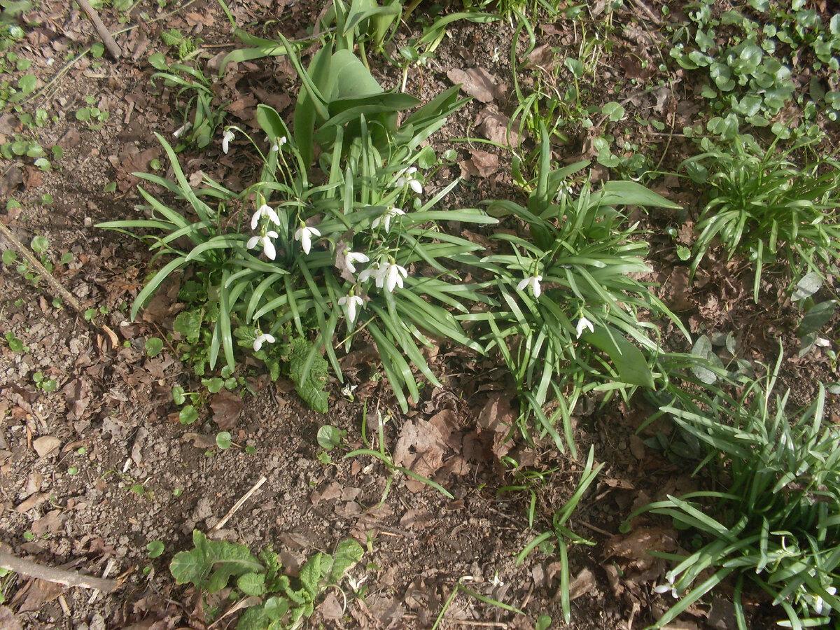 Изображение из открытых источников