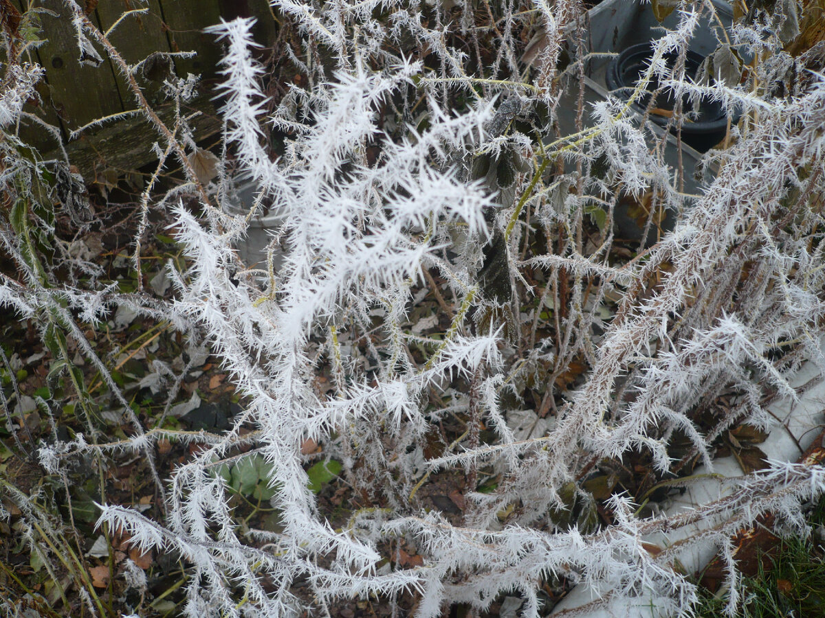 Фото из личного архива 