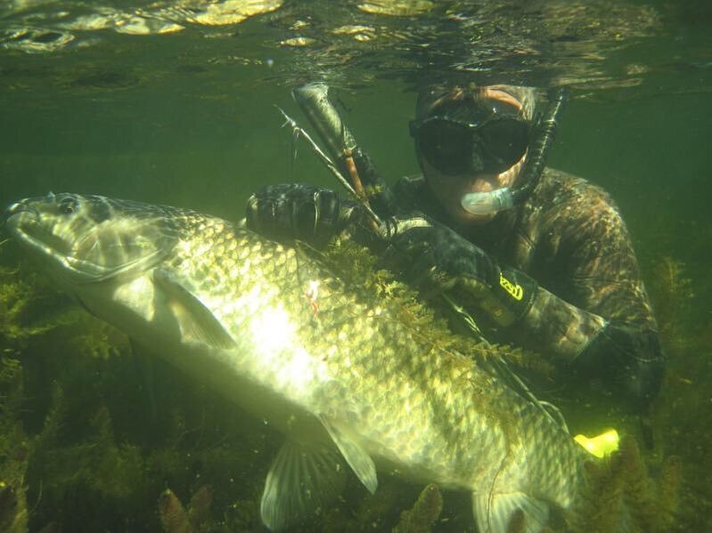 Всегда при погружении получаю невероятно дозу адреналина 
