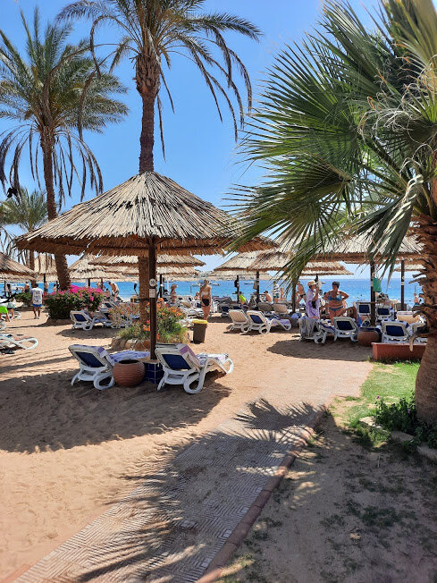 Отдыхали в отеле 5* "Maritim jolie ville resort casino", который находится в районе Наама-Бей в Шарм-Эль-Шейхе. Отель хороший, есть свои плюсы и минусы, но в целом отдыхом остались довольны. 