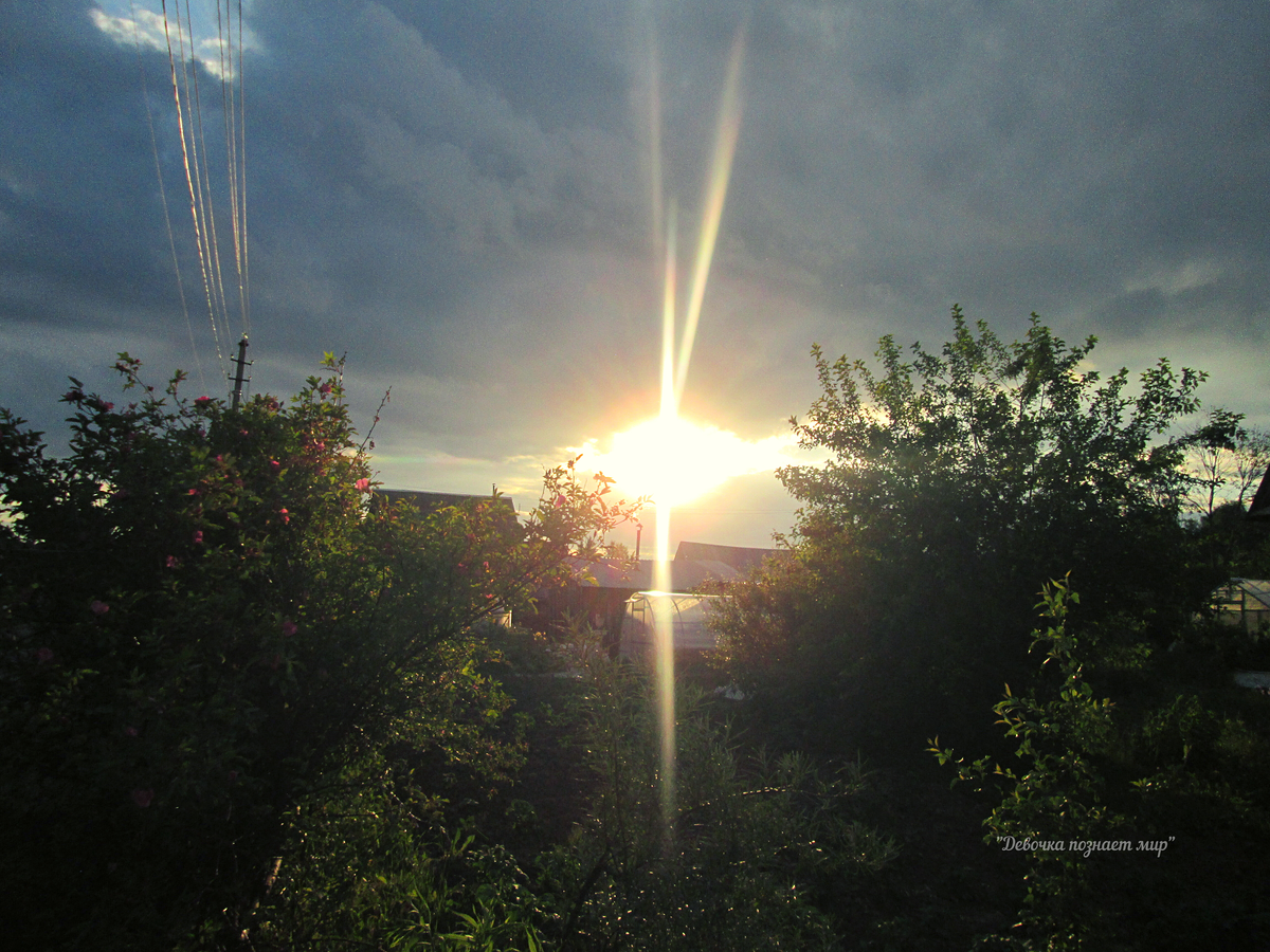 Прекрасный летний закат / фото автора