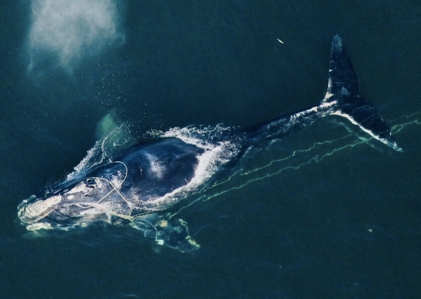 Фото: National Oceanic and Atmospheric Administration