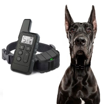 Электроошейники для собак - функции устройств, особенности выбора