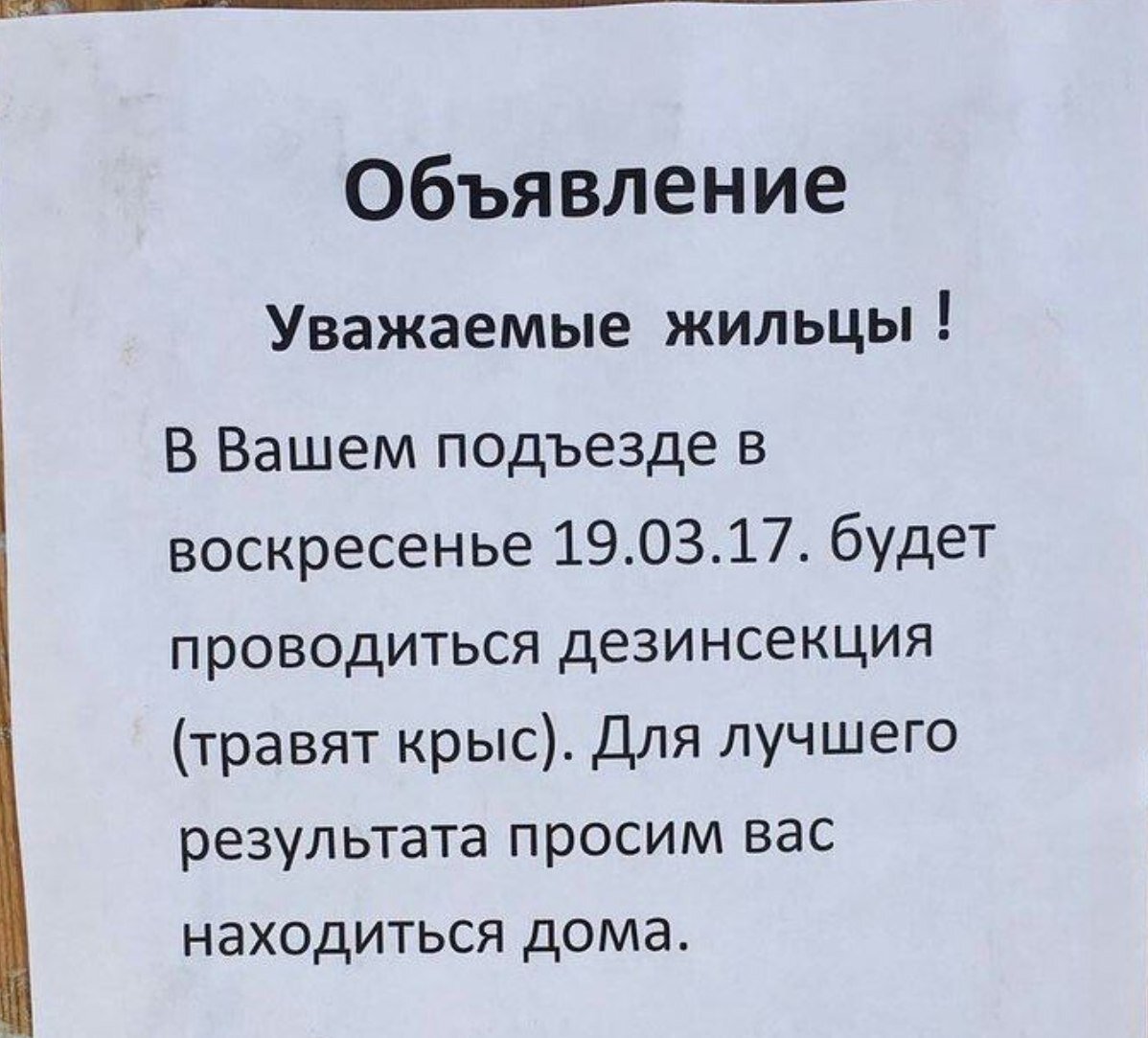 Объявление образец написания