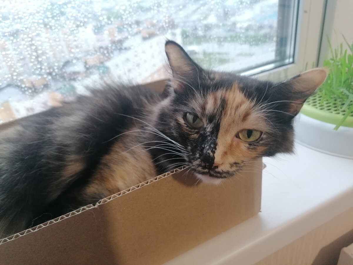 Я-то знаю толк в комфорте.