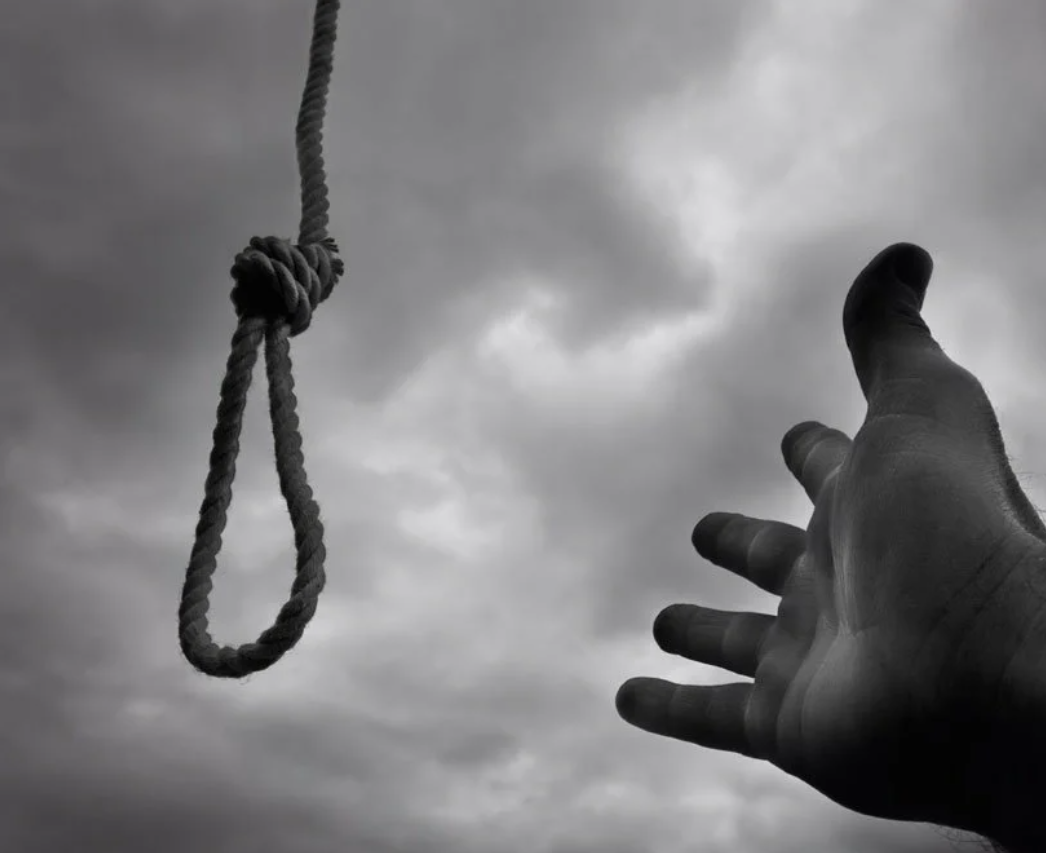 Источник Яндекс картинки