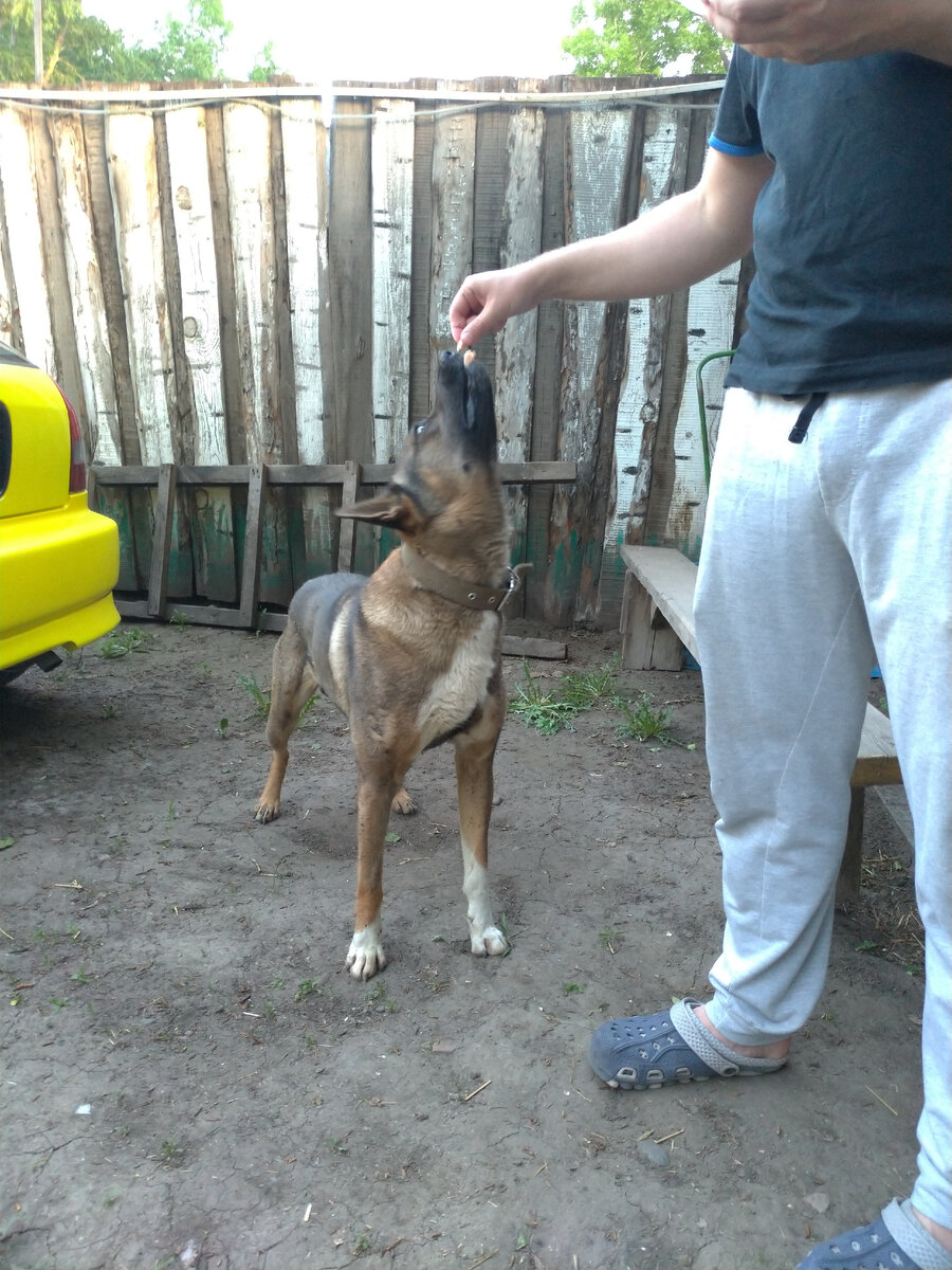 Сын тоже с рыбкой. Надо с ним подружить.