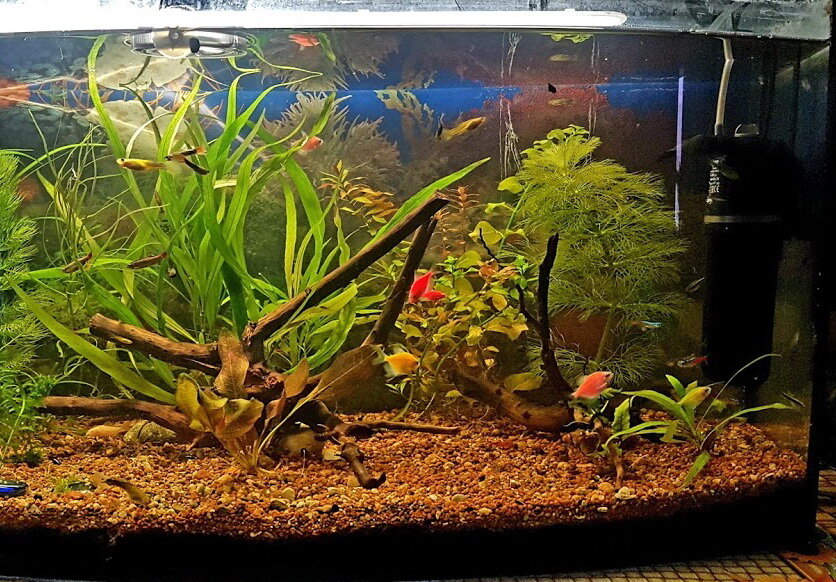 Моя новая волшебная история про обычную девочку. Надеюсь, вам будет интересно