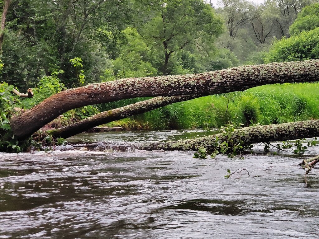 Река ресса фото