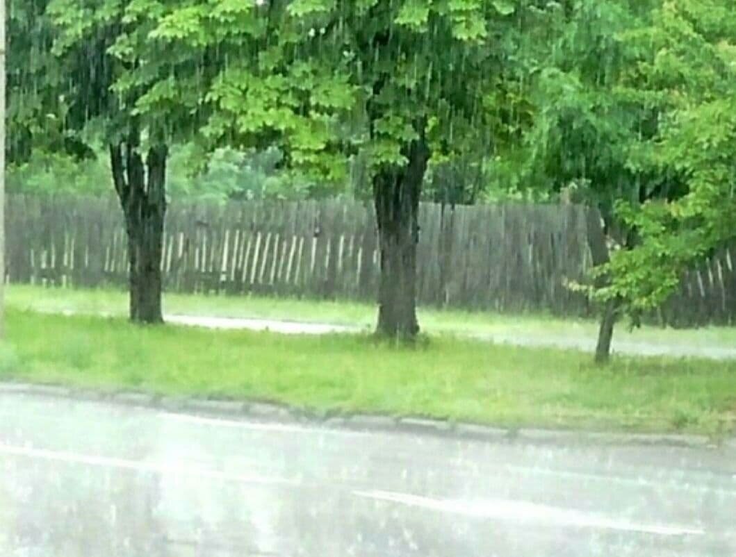 Этим летом нас буквально заливает дождями! 