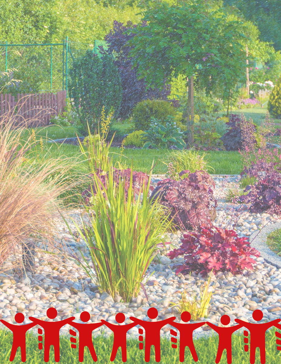 курс ландшафтный дизайнер