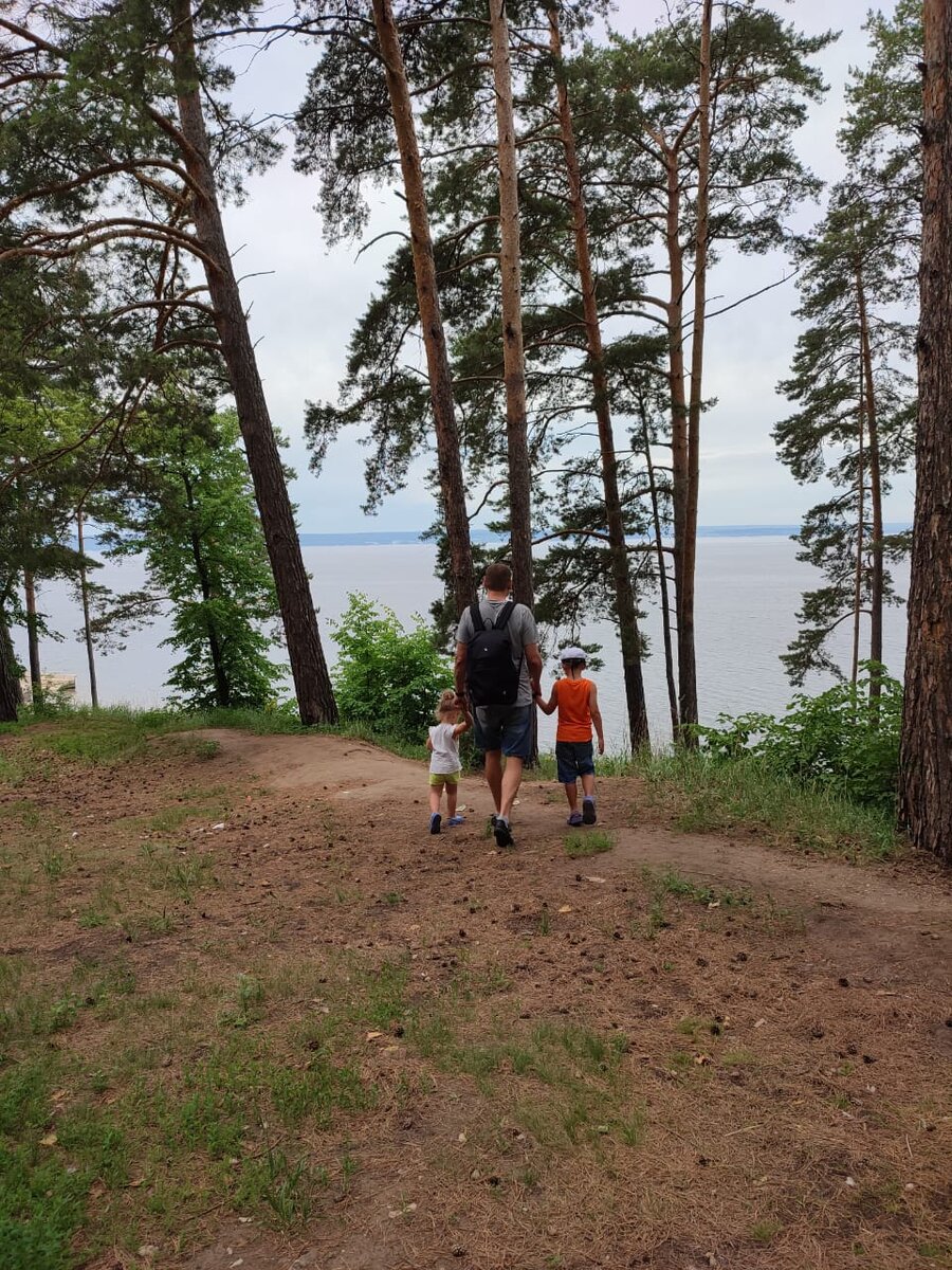 Берег Волги