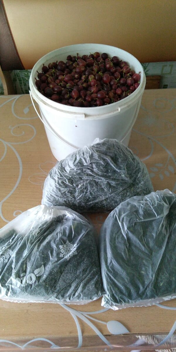 Укропчик мы любим)