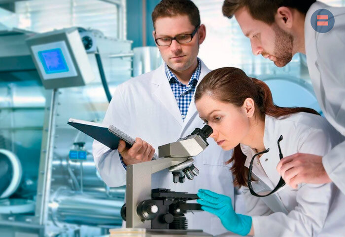 Ученые нашли способ получать из борщевика целлюлозу