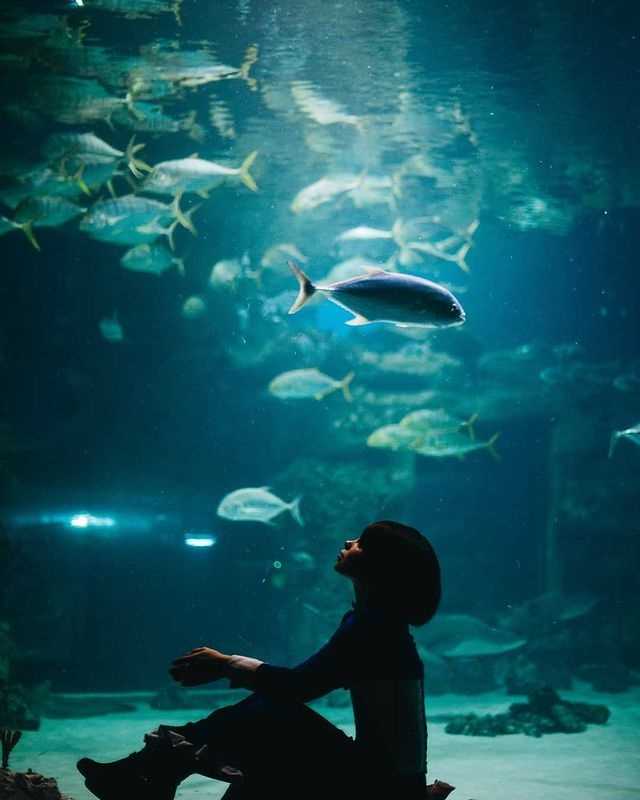 фото Наталья Милова