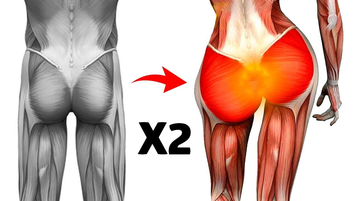 Как накачать ягодицы быстрее, не разрушая суставы? Один инструмент, который  позволит Вам повысить вовлечение ягодиц на 20%. | danila.kaburov | Дзен