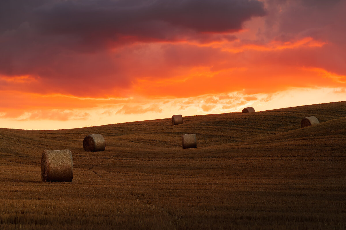 Картинка с бесплатного фотостока https://unsplash.com, автор Samuele Bertoli